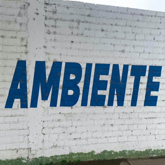 (PRESALE 5/8/26) AMBIENTE (VINYL) | Mint (M) Mint (M) - DOWNTEMPO *NEW*