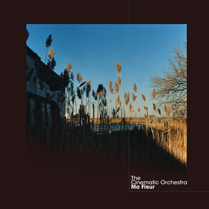Ma Fleur (2xVINYL) | Mint (M) Mint (M) - DOWNTEMPO *NEW*