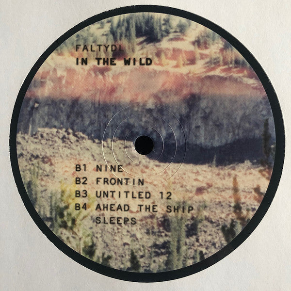 FaltyDL - In The Wild | Mint (M) Mint (M) - DOWNTEMPO *SEALED*