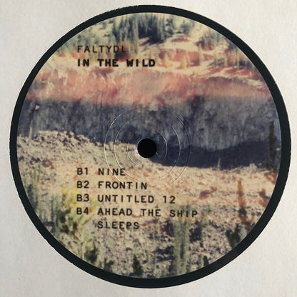 FaltyDL - In The Wild | Mint (M) Mint (M) - DOWNTEMPO *SEALED*