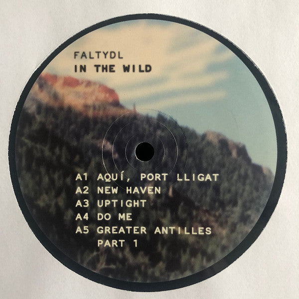 FaltyDL - In The Wild | Mint (M) Mint (M) - DOWNTEMPO *SEALED*