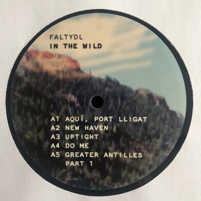 FaltyDL - In The Wild | Mint (M) Mint (M) - DOWNTEMPO *SEALED*