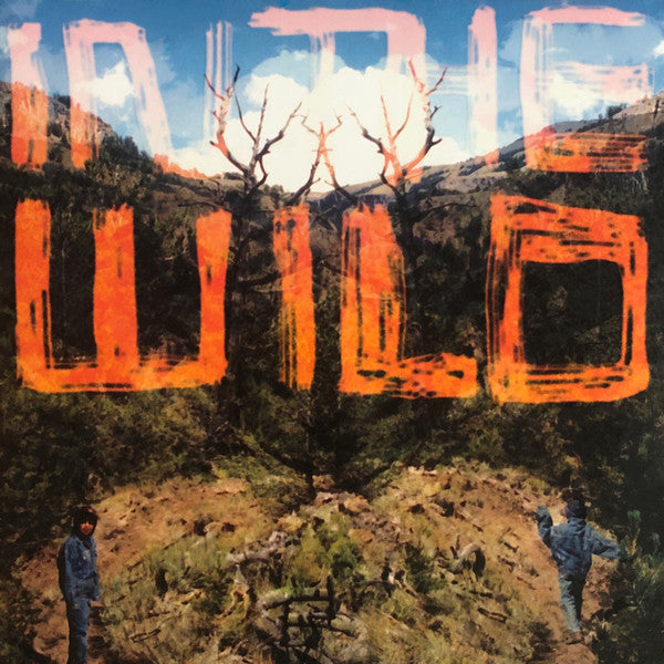 FaltyDL - In The Wild | Mint (M) Mint (M) - DOWNTEMPO *SEALED*