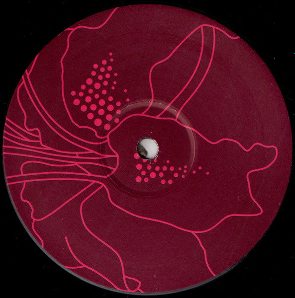 Sail Into The Sun (VINYL) | Excellent (EX) Excellent (EX) - DOWNTEMPO / USED *EXCELLENT*