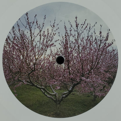 Within And Without (WHITE VINYL) | Near Mint (NM or M-) Near Mint (NM or M-) - DOWNTEMPO / USED *NEAR MINT*