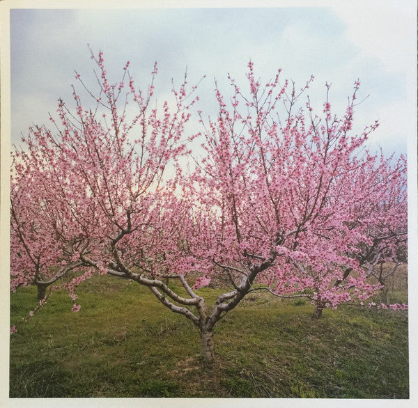 Within And Without (WHITE VINYL) | Near Mint (NM or M-) Near Mint (NM or M-) - DOWNTEMPO / USED *NEAR MINT*
