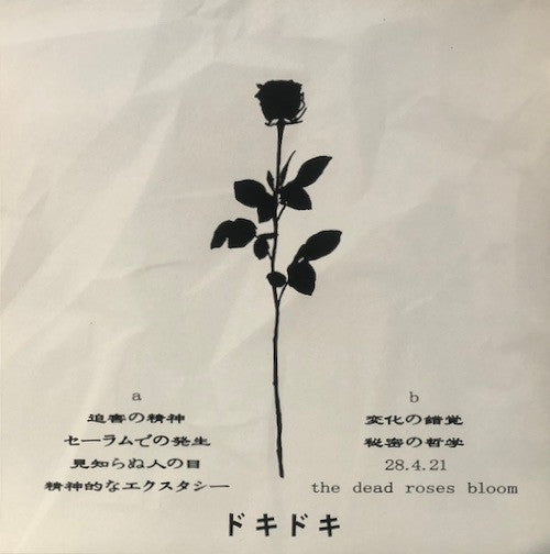 DΛRKNΣSS - Magician Whisper | Near Mint (NM) Near Mint (NM) - DOWNTEMPO / USED *NEAR MINT*