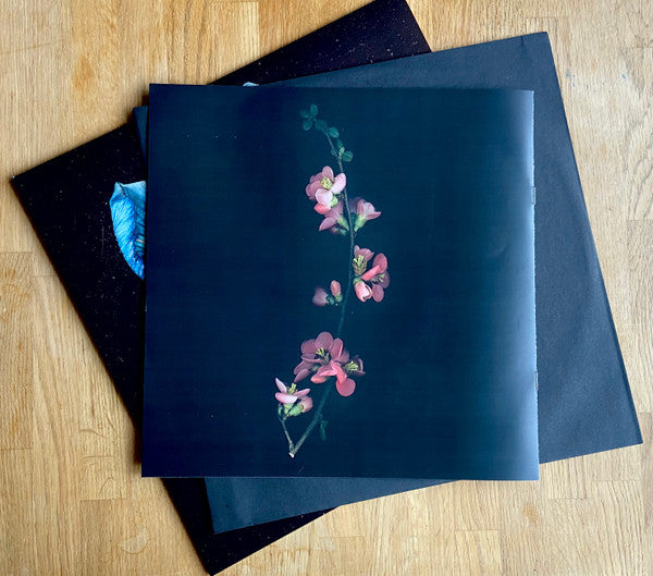 Oasis Sky | Mint (M) Mint (M) - DOWNTEMPO *SEALED*