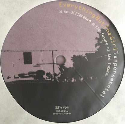 Temperamental | Mint (M) Mint (M) - DOWNTEMPO *SEALED*