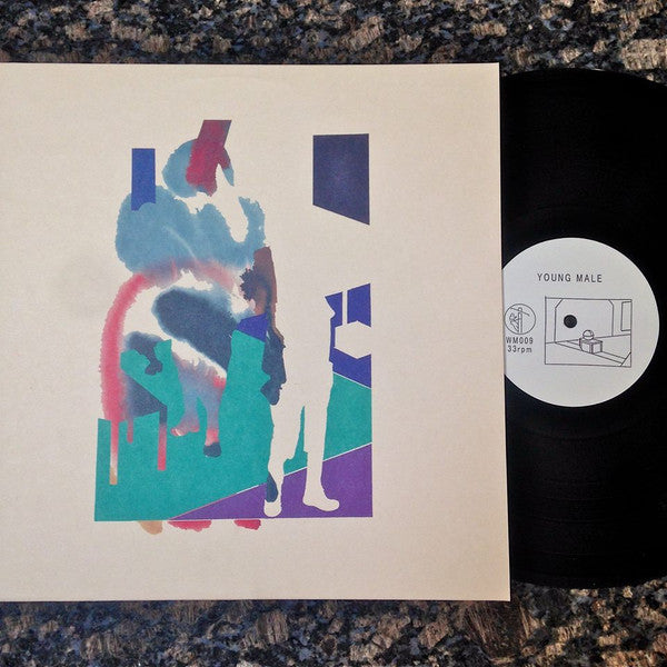 How To Disappear In America | Mint (M) Mint (M) - DOWNTEMPO *SEALED*