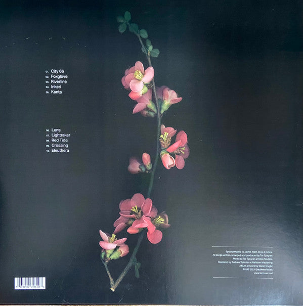 Oasis Sky | Mint (M) Mint (M) - DOWNTEMPO *SEALED*