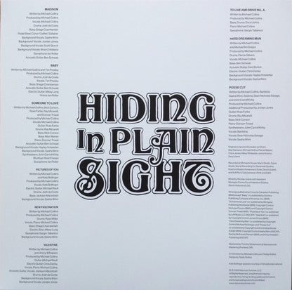 Hiding In Plain Sight | Mint (M) Mint (M) - ALT/INDIE *COLOR*