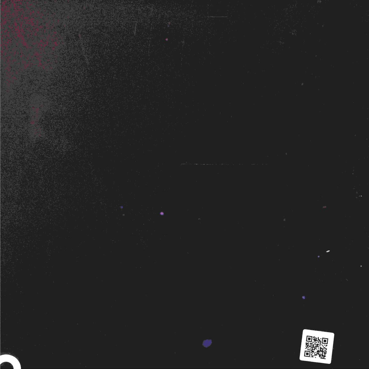 ASC - Dune (VINYL 12" Over/Shadow OSH46) | NEW - DRUM & BASS *NEW*