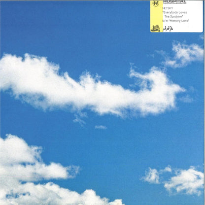 Netsky - Everybody Loves The Sunshine / Memory Lane (ORANGE VINYL 12" Hospital) | NEW - DRUM & BASS *NEW*