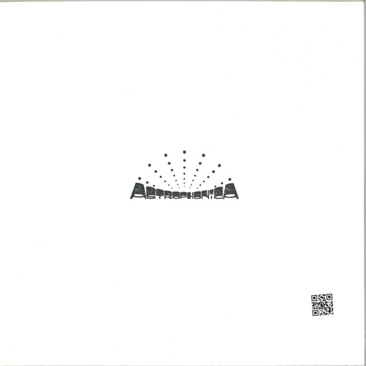 Sully - Flock (VINYL 12" Astrophonica) | NEW - DRUM & BASS *NEW*