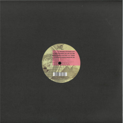Lennie De Ice - We Are I.E. (VINYL 12" Hooj Choons HOOJ151) | NEW - DRUM & BASS *NEW*