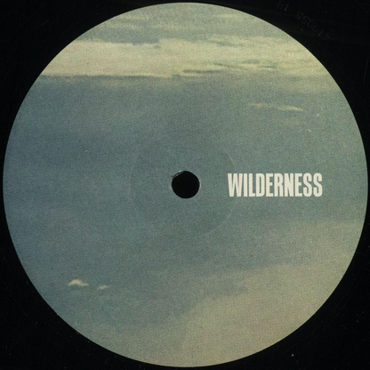Peeb - Endless Skies EP (VINYL) | Mint (M) Mint (M) - DRUM & BASS *NEW*