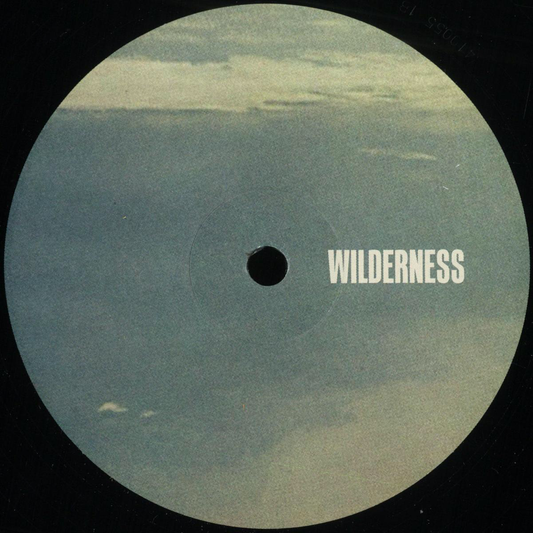 Peeb - Endless Skies EP (VINYL) | Mint (M) Mint (M) - DRUM & BASS *NEW*