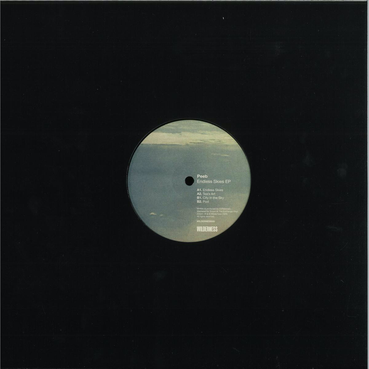 Peeb - Endless Skies EP (VINYL) | Mint (M) Mint (M) - DRUM & BASS *NEW*