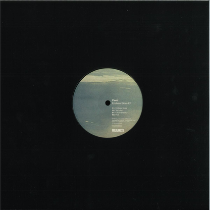 Peeb - Endless Skies EP (VINYL) | Mint (M) Mint (M) - DRUM & BASS *NEW*