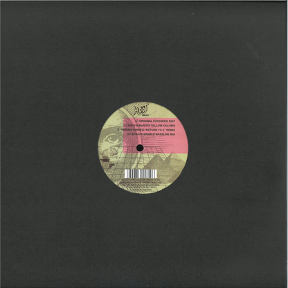 Lennie De Ice - We Are I.E. (VINYL 12" Hooj Choons HOOJ151 2022) | - DRUM & BASS *NEW*