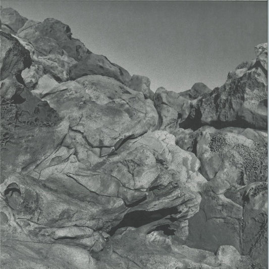 Pugilist - Found Sound (VINYL 2xLP Ruff Kutz) | NEW - DRUM & BASS *NEW*