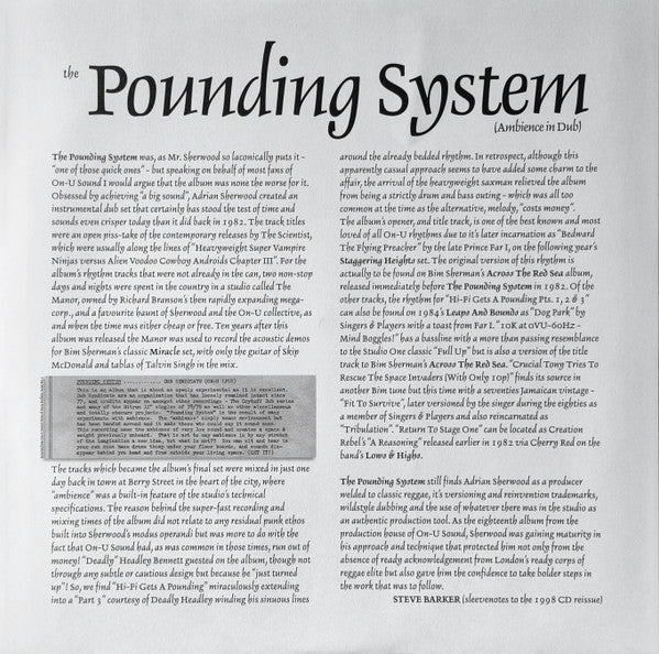 Dub Syndicate - The Pounding System (Ambience In Dub) | Mint (M) Mint (M) - REGGAE