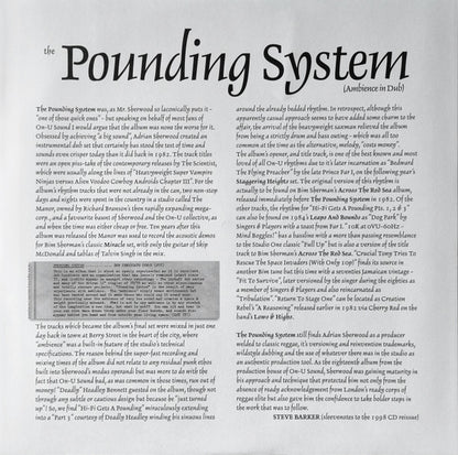 Dub Syndicate - The Pounding System (Ambience In Dub) | Mint (M) Mint (M) - REGGAE