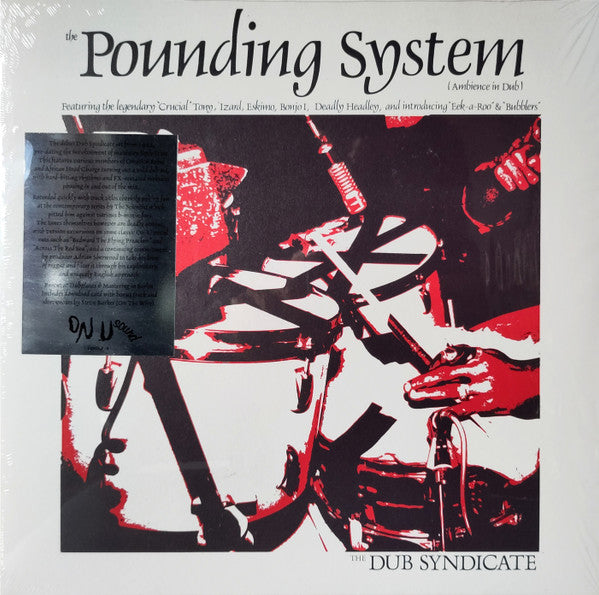 Dub Syndicate - The Pounding System (Ambience In Dub) | Mint (M) Mint (M) - REGGAE