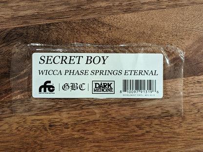 Secret Boy | Mint (M) Mint (M)