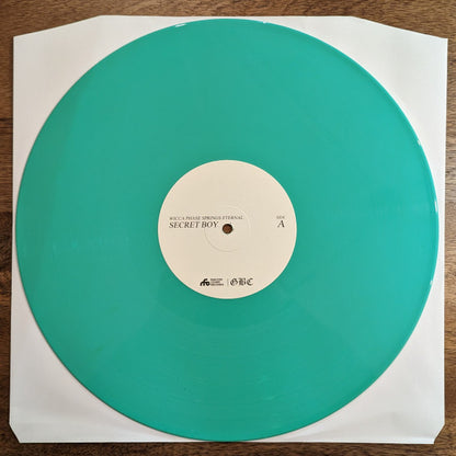 Secret Boy | Mint (M) Mint (M)