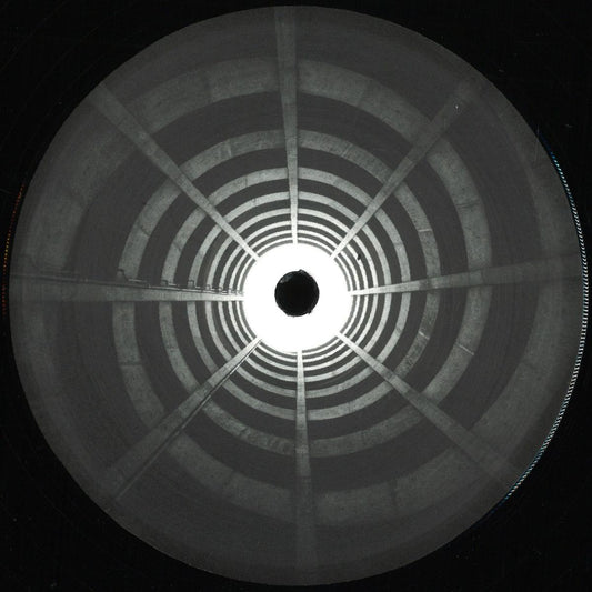 Delian Sound - Methylene Blue (VINYL 12" Dimeshift) | NEW - DUBSTEP *NEW*