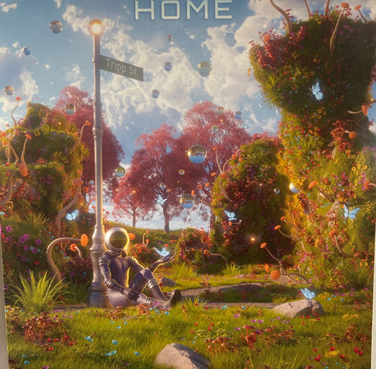 Tripp St - Home (VINYL 2LP) | Mint (M) Near Mint (NM) - DUBSTEP / USED *MINT*