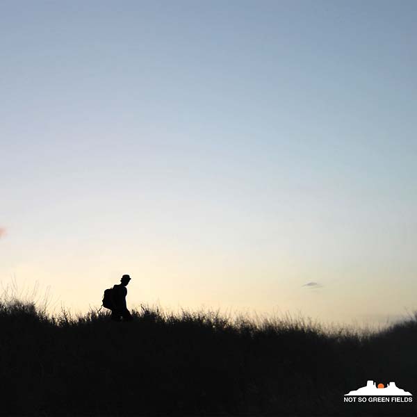 Not So Green Fields |