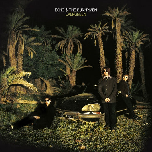 Evergreen (Standard Edition) |