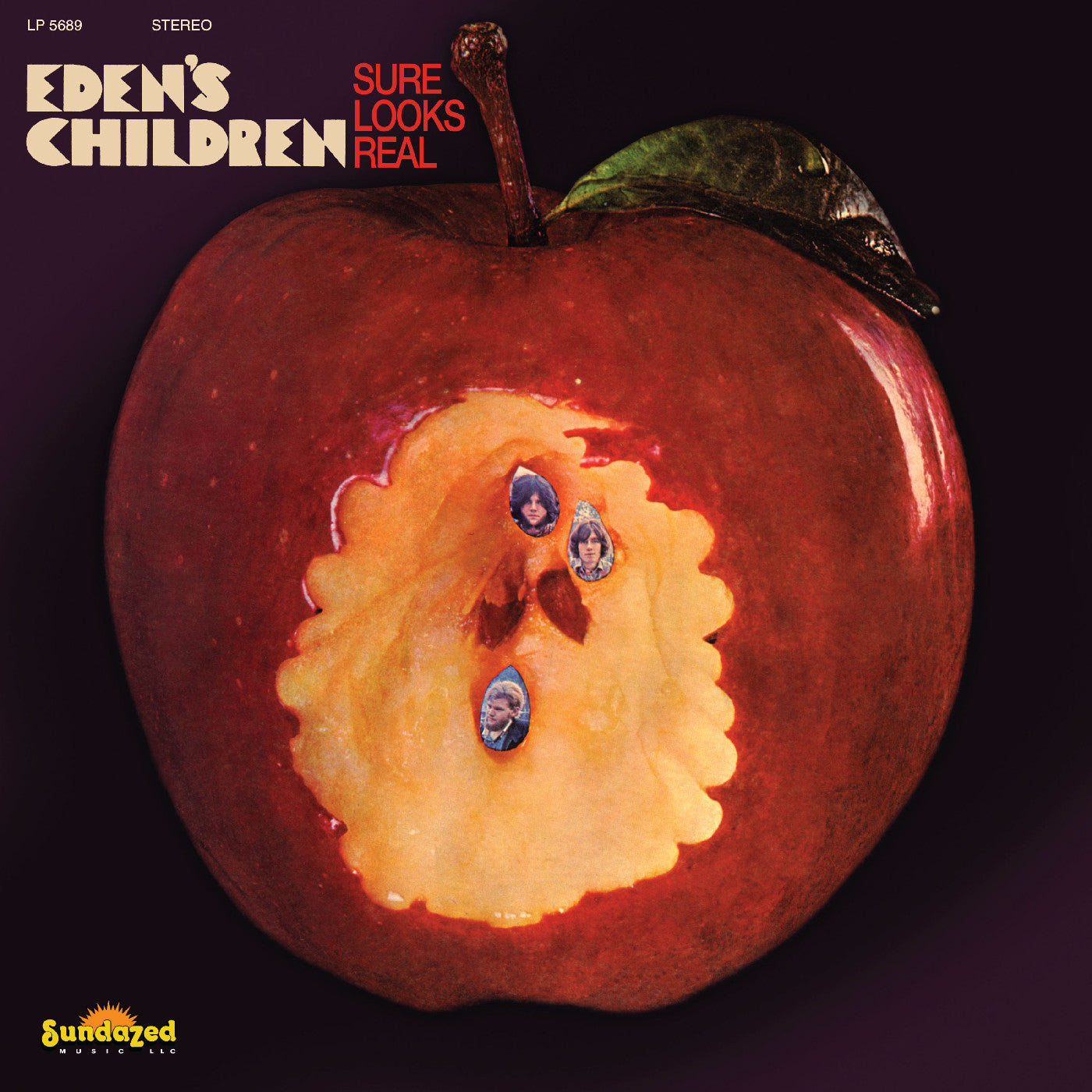 Sure Looks Real (Maroon Vinyl) |