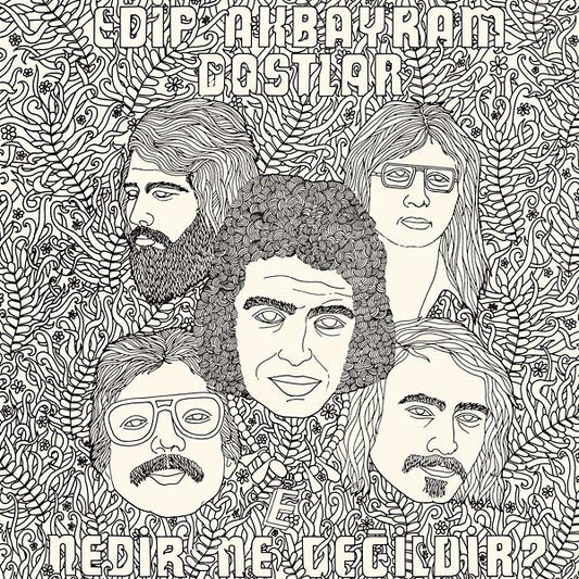 Nedir Ne Degildir? |