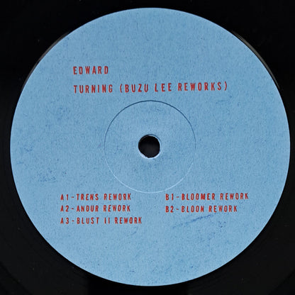 Turning (Buzu Lee Reworks) | Mint (M) Mint (M)