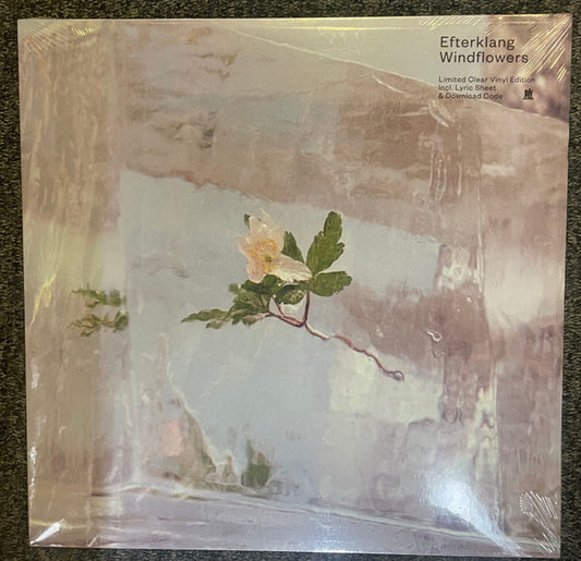 Windflowers | Mint (M) Mint (M) - ALT/INDIE *COLOR*