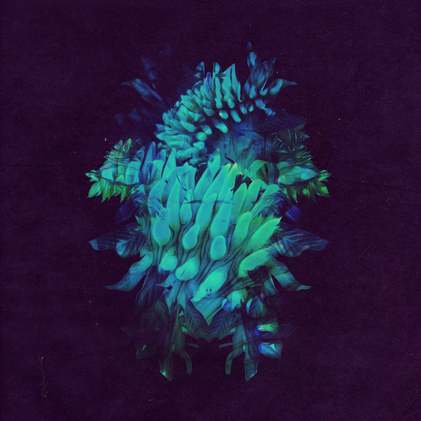 Fakear - All Glows (CD) | Mint Mint - ELECTRONIC *NEW*