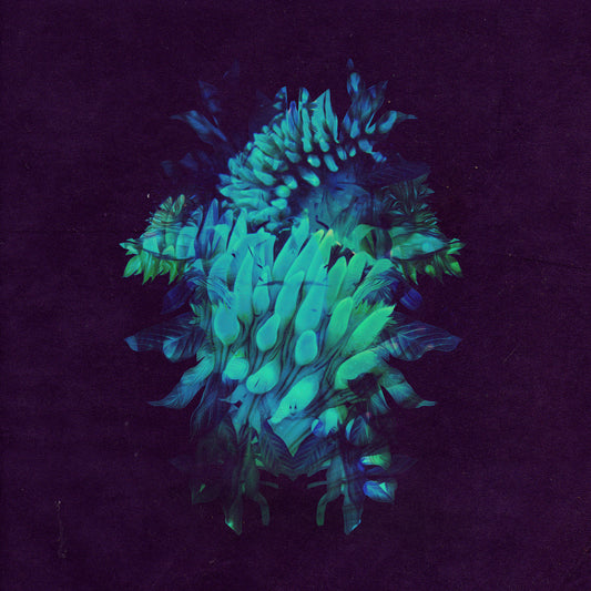 Fakear - All Glows (CD) | Mint Mint - ELECTRONIC *NEW*