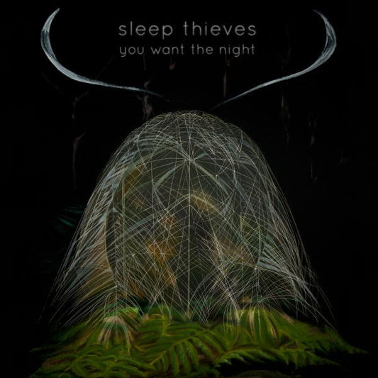 Sleep Thieves - You Want The Night | - ELECTRONIC *NEW*