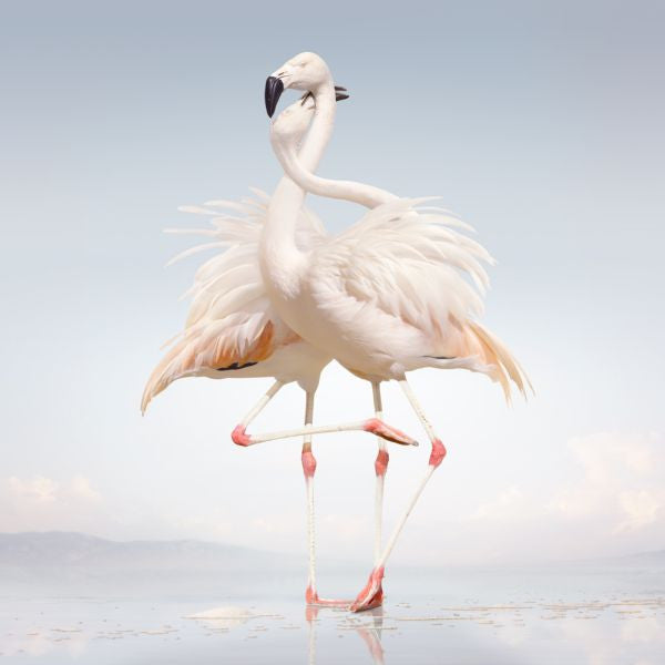 Rustie - Green Language (CD) | Mint Mint - ELECTRONIC *NEW*