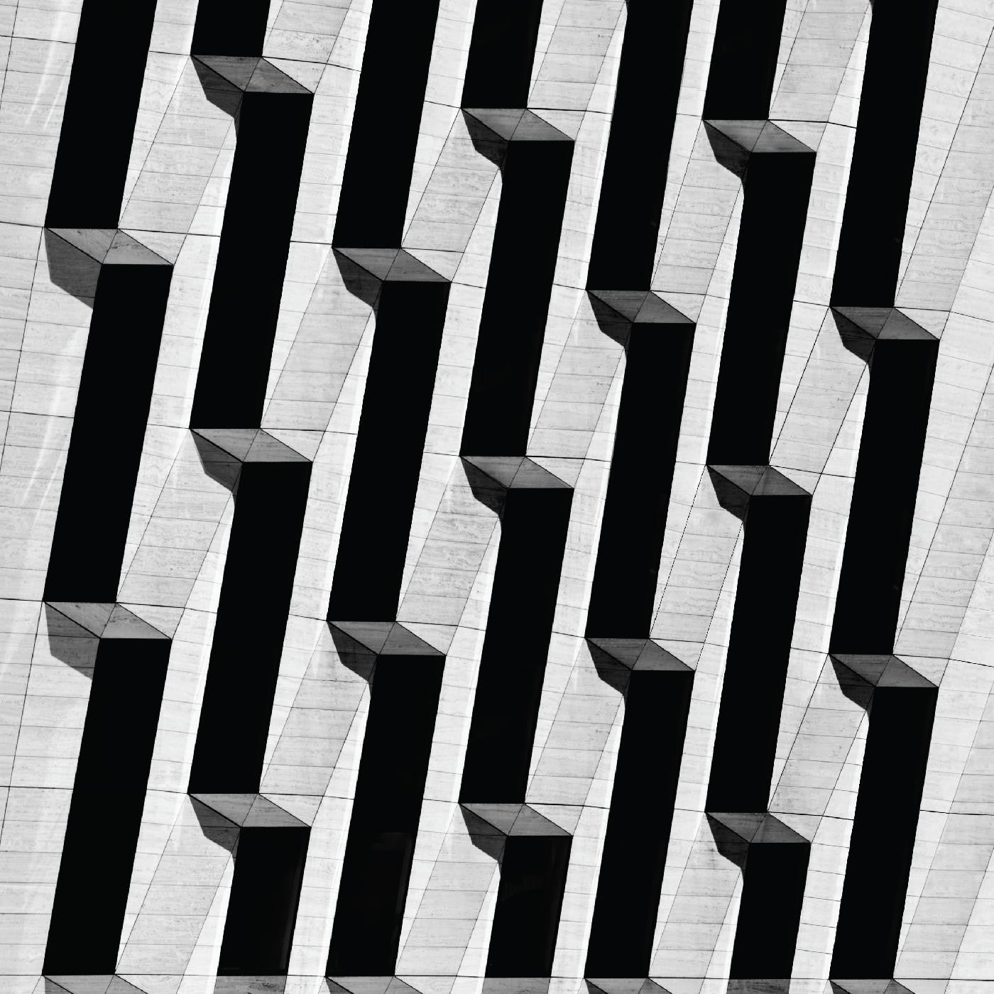 Snow Palms - Everything Ascending | - ELECTRONIC *NEW*