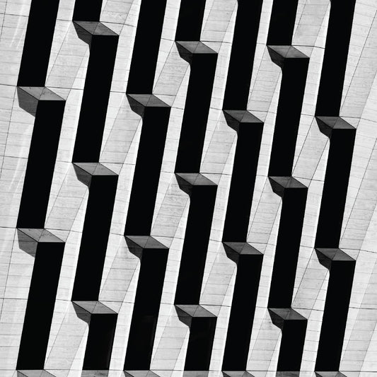 Snow Palms - Everything Ascending | - ELECTRONIC *NEW*