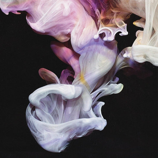 Simian Mobile Disco - Murmurations (CD) | Mint Mint - ELECTRONIC *NEW*
