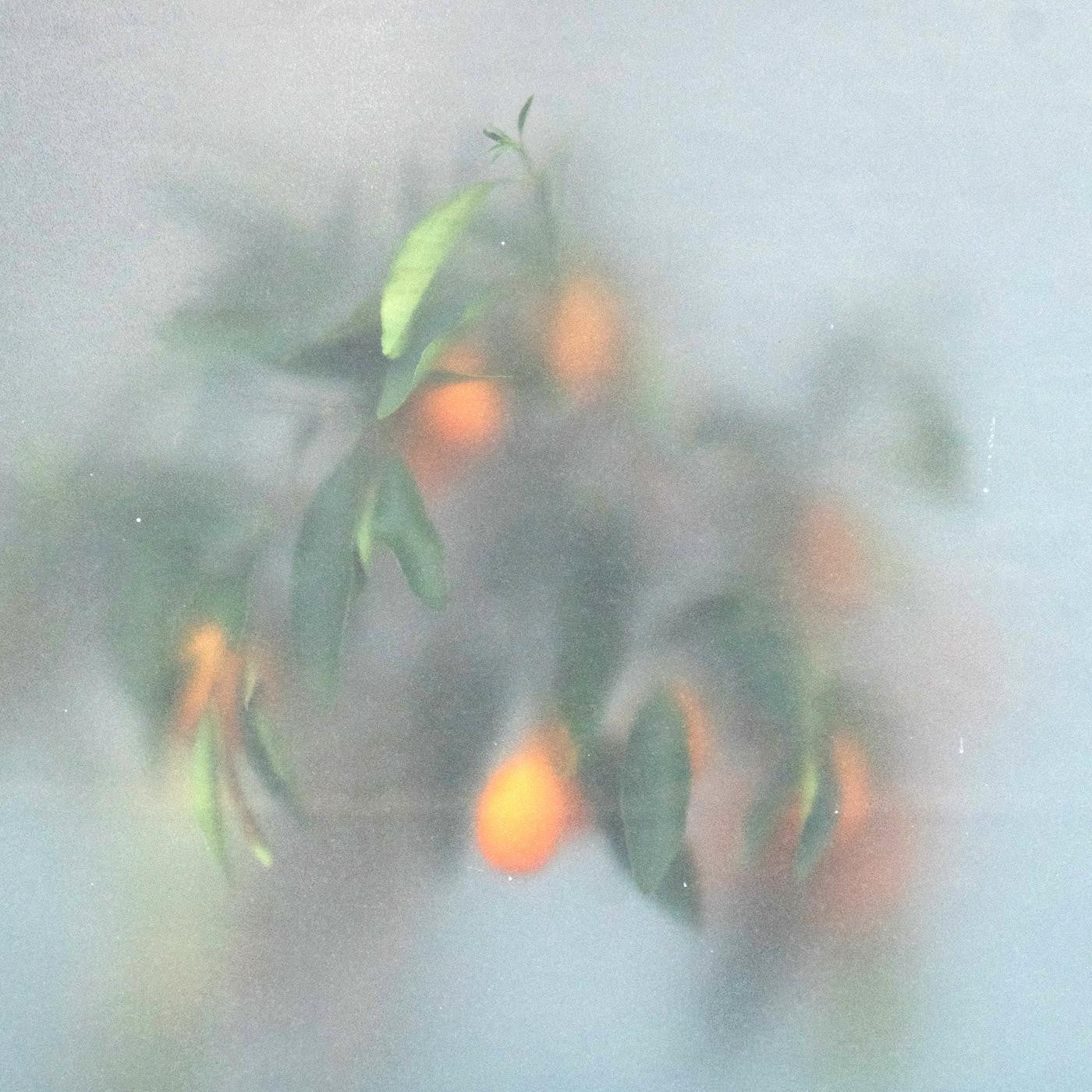 µ-Ziq & Mrs Jynx - Secret Garden (GREEN VINYL) (Vinyl) | Mint (M) Mint (M) - ELECTRONIC *NEW*