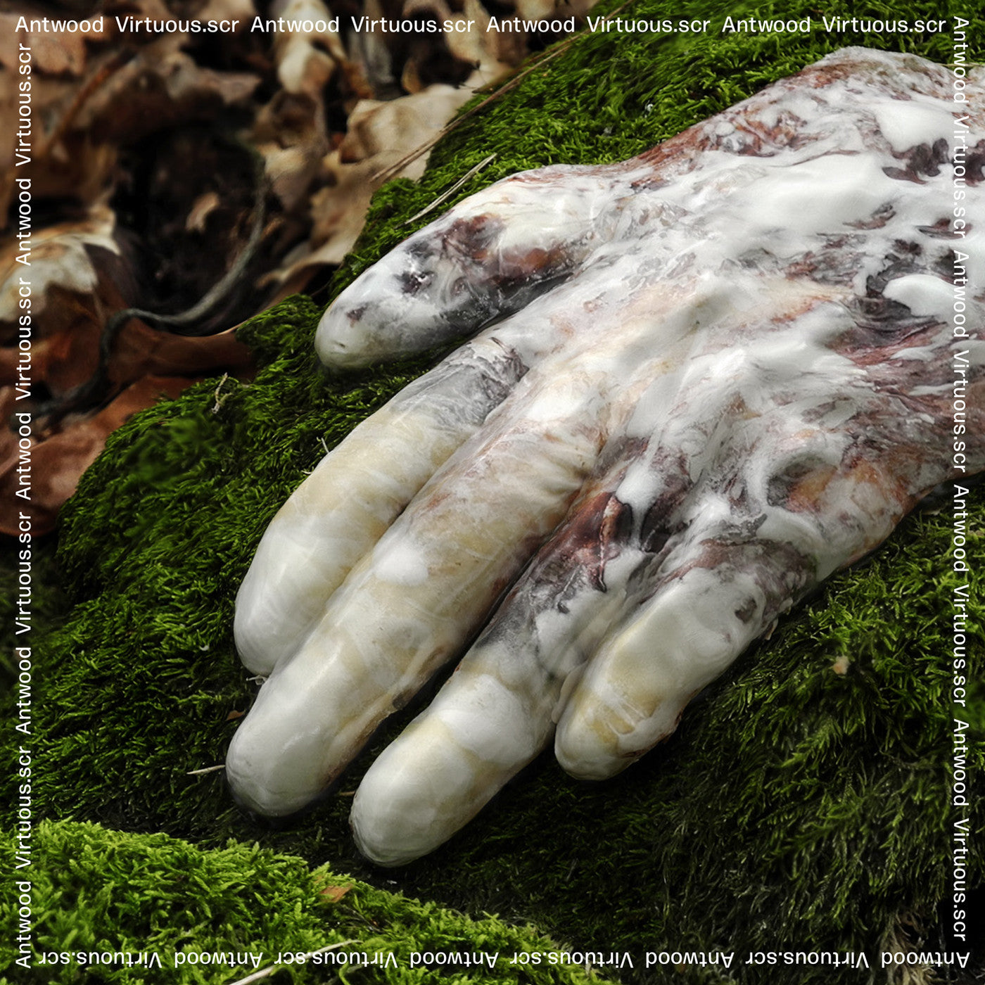 Antwood - Virtuous.scr | - ELECTRONIC *NEW*