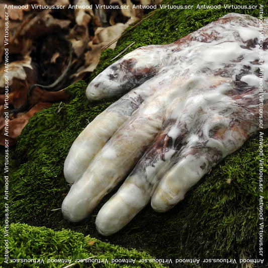Antwood - Virtuous.scr | - ELECTRONIC *NEW*