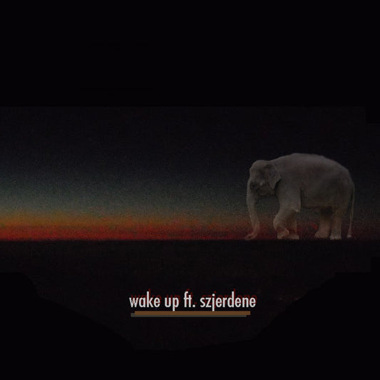 Slugabed - Wake Up - 7" (Vinyl) | - ELECTRONIC *NEW*